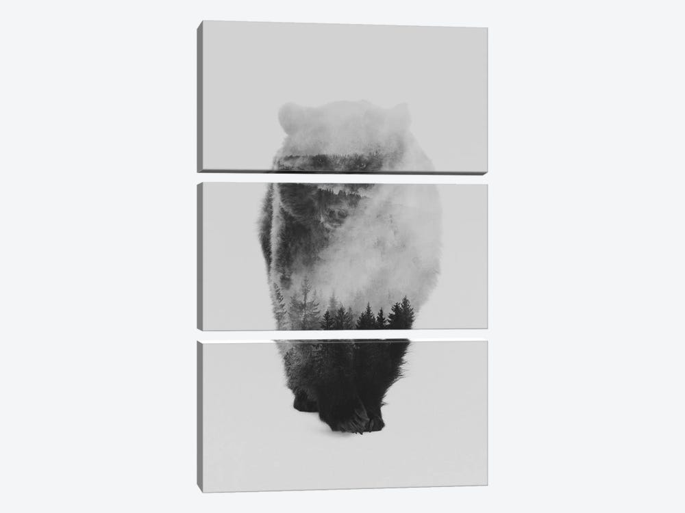 Approaching Bear in B&W by Andreas Lie 3-piece Canvas Art Print