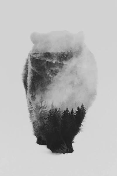 Black & White Scenic Art: Approaching Bear in B&W by Andreas Lie