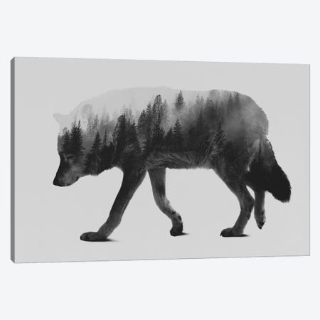 The Wolf I in B&W Canvas Print #ALE133} by Andreas Lie Art Print