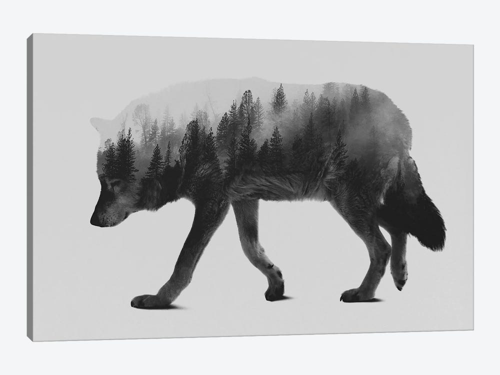 The Wolf I in B&W by Andreas Lie 1-piece Canvas Art Print