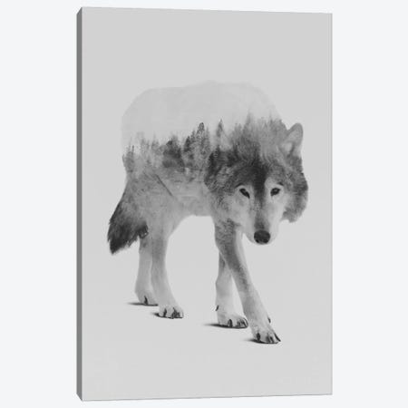 Wolf In The Woods II in B&W Canvas Print #ALE138} by Andreas Lie Art Print
