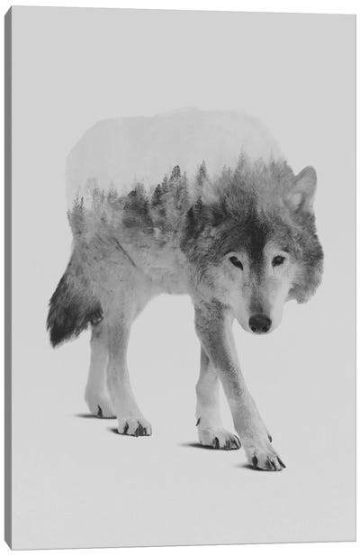 Wolf In The Woods II in B&W Canvas Art Print - Pine Tree Art