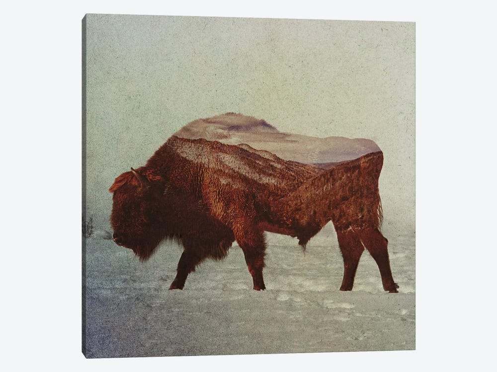 Bison II by Andreas Lie 1-piece Canvas Art