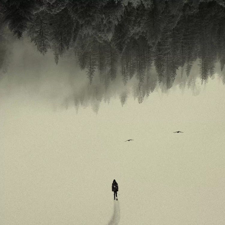 Silent Walk by Andreas Lie wall art