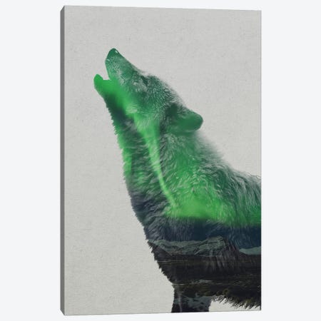 Howling Wolf Canvas Print #ALE154} by Andreas Lie Canvas Wall Art