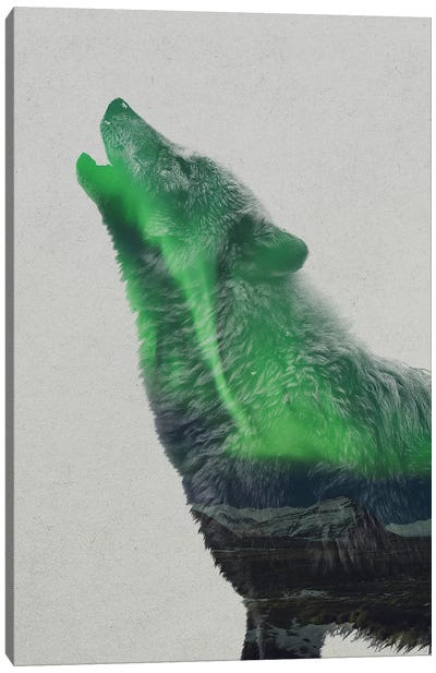 Howling Wolf Canvas Art Print - Aurora Borealis Art