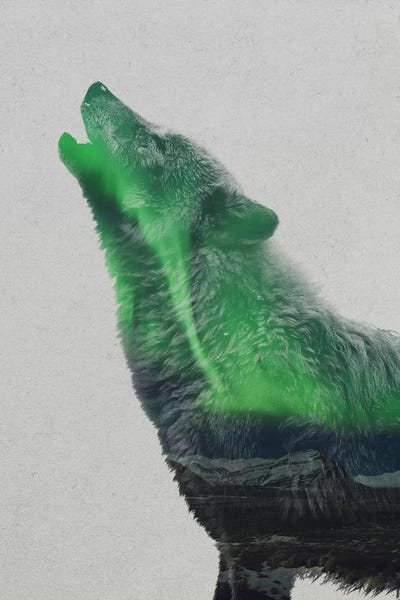 Astronomy & Space: Howling Wolf by Andreas Lie