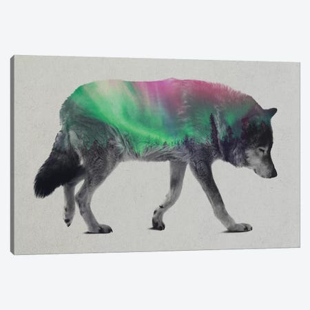 Wolf Canvas Print #ALE159} by Andreas Lie Art Print