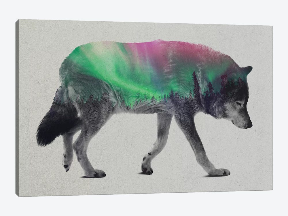 Wolf by Andreas Lie 1-piece Canvas Print