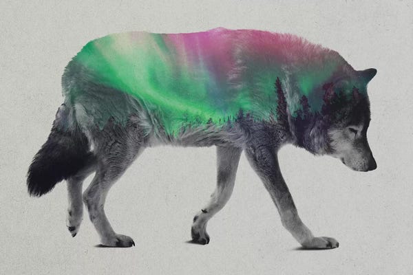 Aurora Borealis: Wolf by Andreas Lie