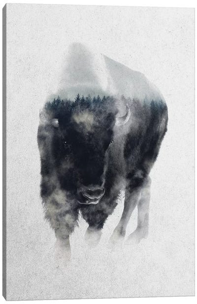 Bison In Mist Canvas Art Print - Forest Art