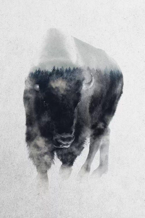 Bison In Mist by Andreas Lie wall art