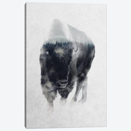 Bison In Mist Canvas Print #ALE165} by Andreas Lie Art Print