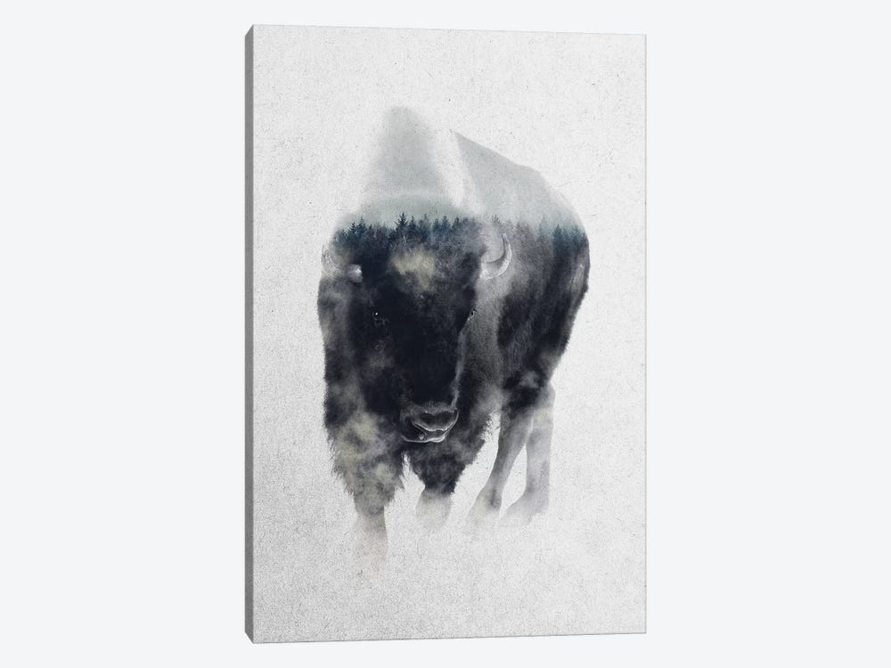 Bison In Mist 1-piece Canvas Art