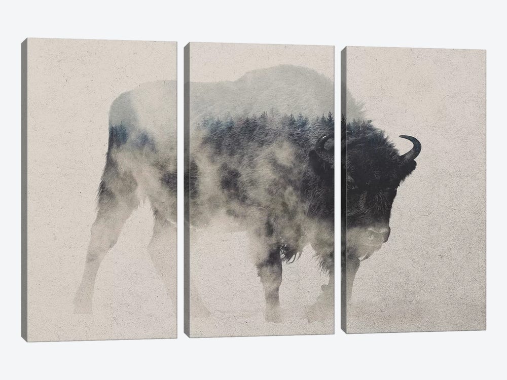 Bison In The Fog by Andreas Lie 3-piece Canvas Art Print