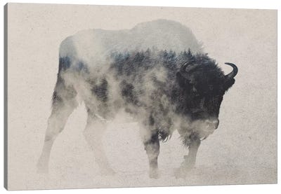 Bison In The Fog Canvas Art Print - Wildlife Art