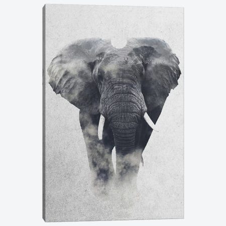 Elephant Canvas Print #ALE168} by Andreas Lie Canvas Art