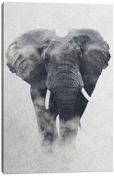 Elephant Canvas Art Print - Andreas Lie
