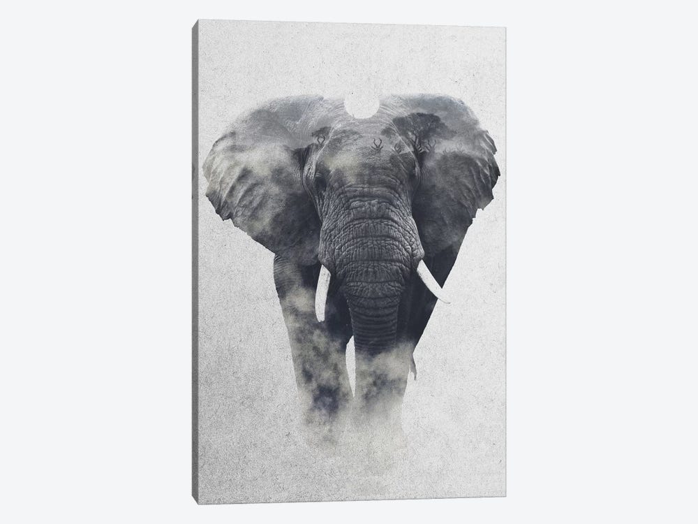 Elephant by Andreas Lie 1-piece Canvas Print