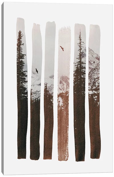 Into The Wild Canvas Art Print - Evergreen Tree Art