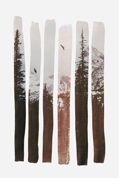 Pine Trees: Into The Wild by Andreas Lie