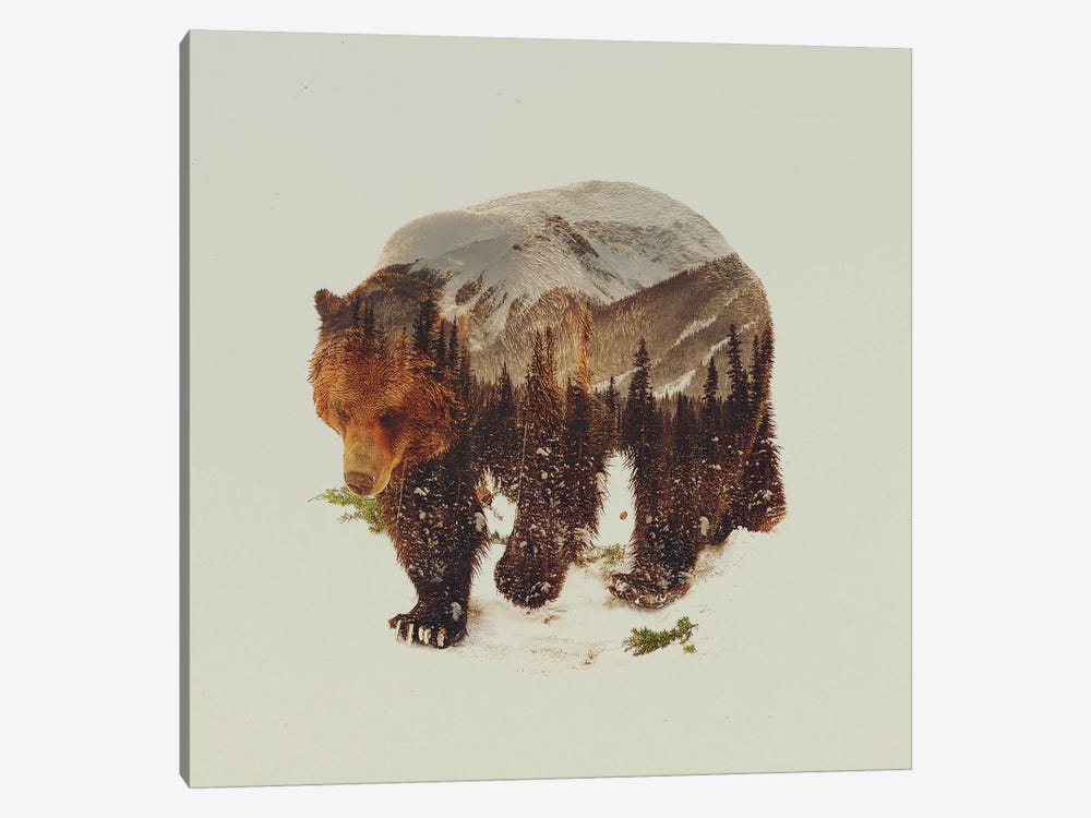 Bear I by Andreas Lie 1-piece Art Print