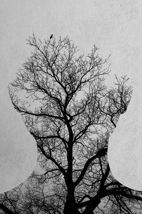 Tree Of Life by Andreas Lie wall art