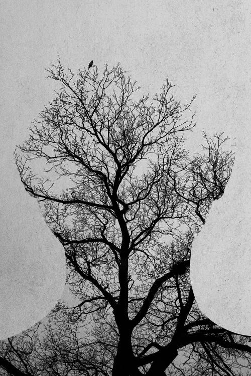 Tree Of Life