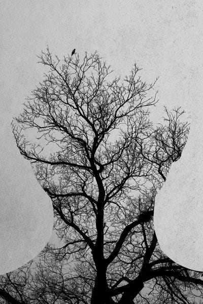 Double Exposure Photography: Tree Of Life by Andreas Lie