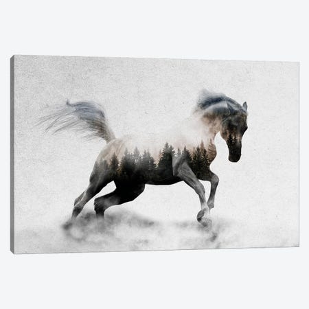 Hest I Canvas Print #ALE184} by Andreas Lie Art Print