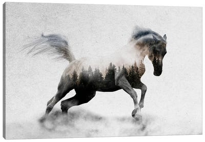 Hest I Canvas Art Print - Farm Animal Art