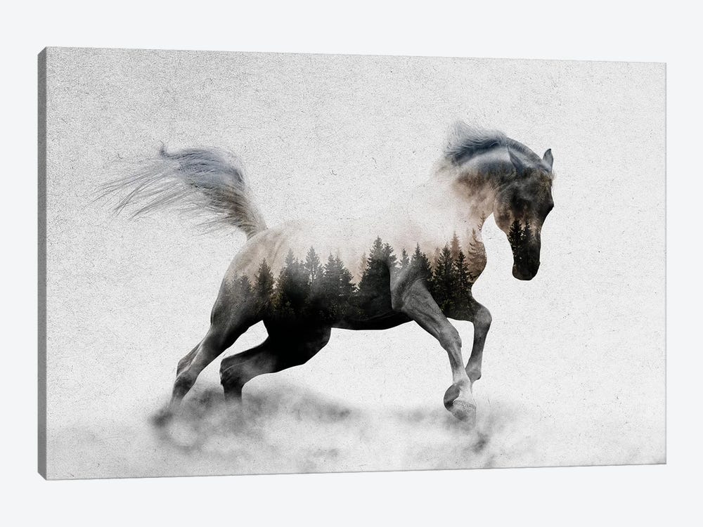Hest I by Andreas Lie 1-piece Canvas Art Print