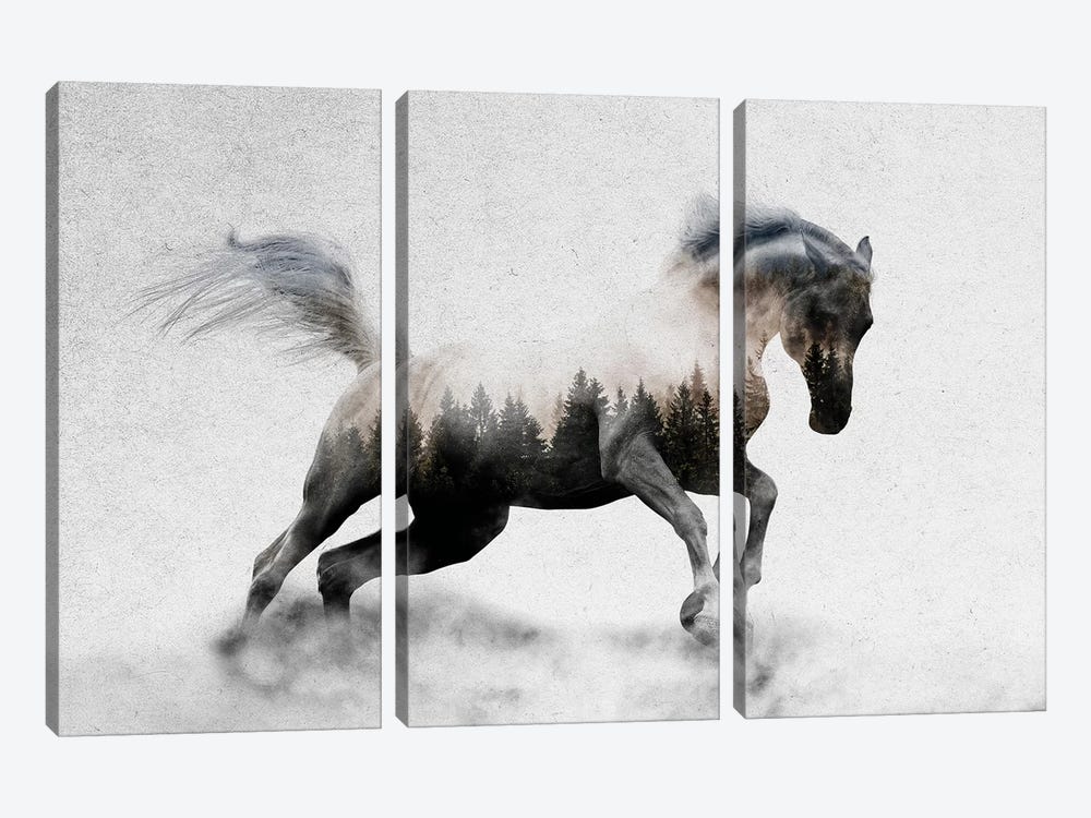 Hest I by Andreas Lie 3-piece Canvas Art Print