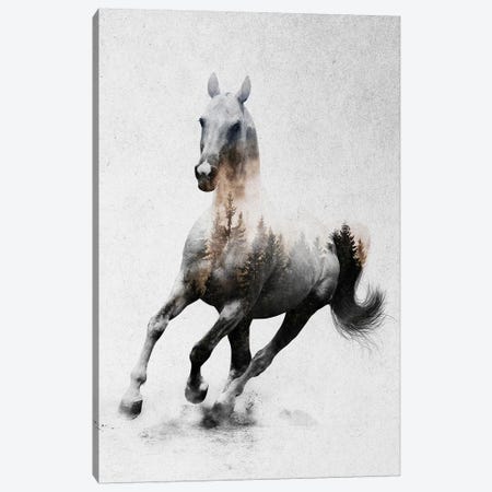 Horse IV Canvas Print #ALE186} by Andreas Lie Canvas Art Print