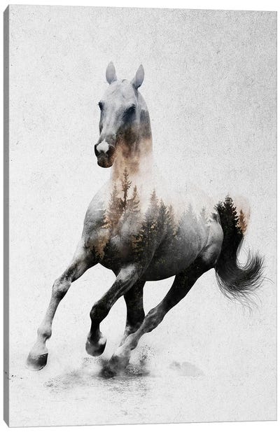 Horse IV Canvas Art Print - Double Exposure Photography
