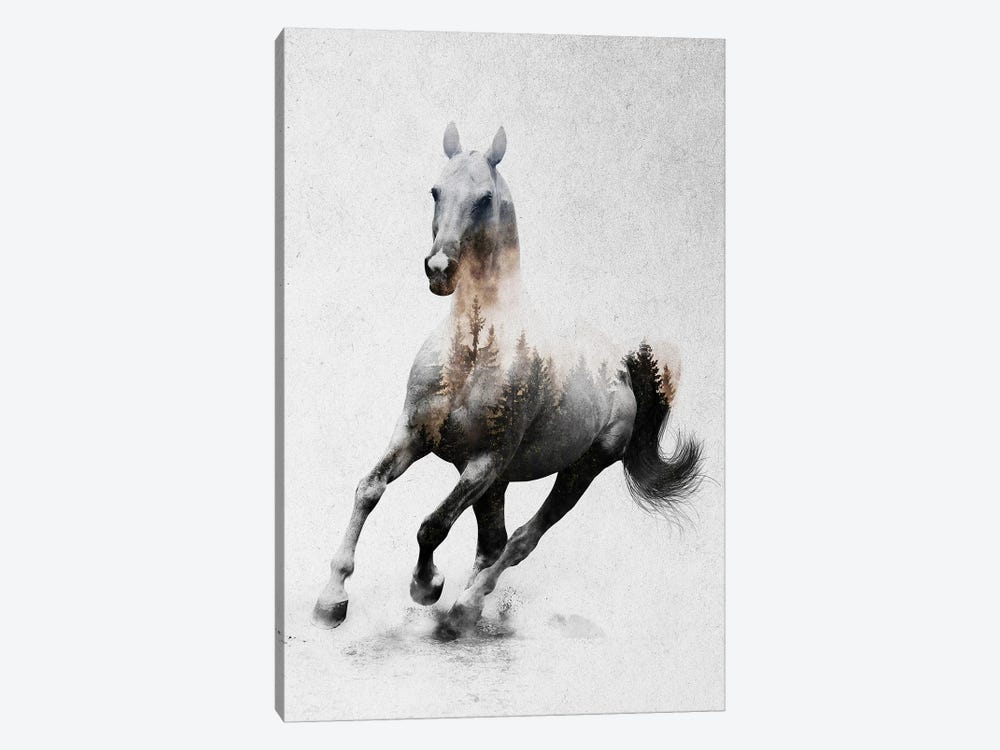 Horse IV by Andreas Lie 1-piece Canvas Art Print