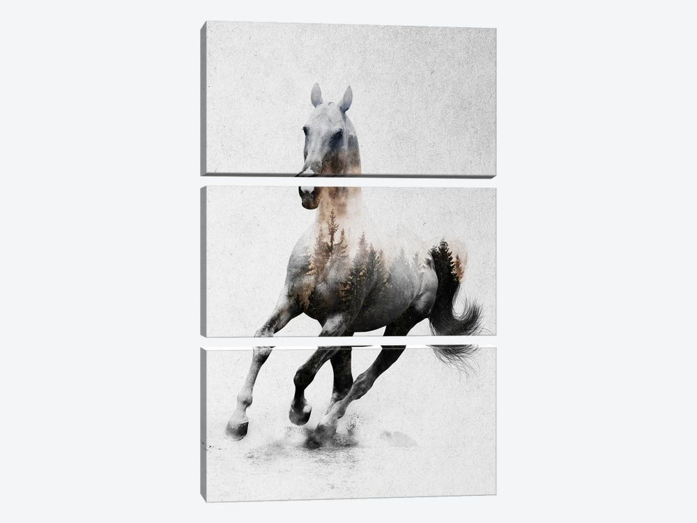 Horse IV by Andreas Lie 3-piece Art Print