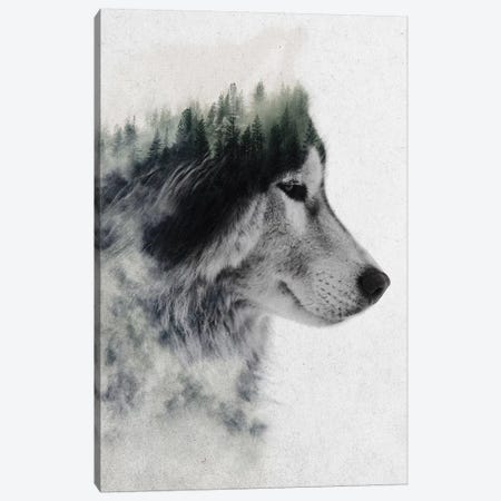 Wolf Stare Canvas Print #ALE189} by Andreas Lie Canvas Wall Art