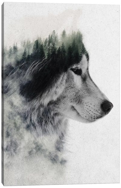 Wolf Stare Canvas Art Print - Double Exposure Photography