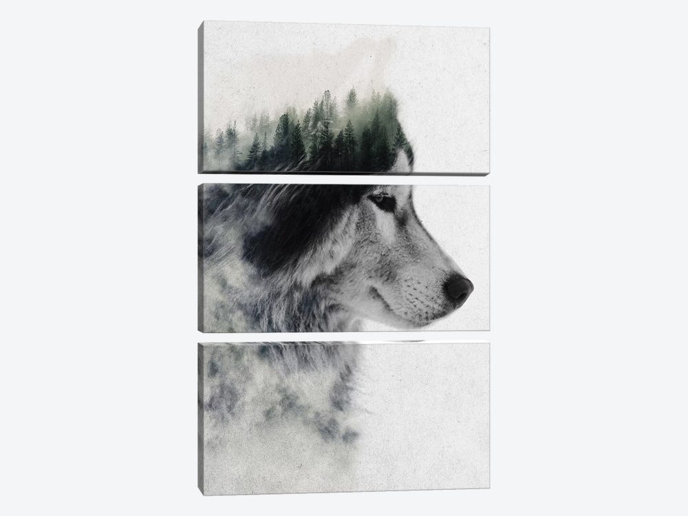 Wolf Stare by Andreas Lie 3-piece Canvas Art