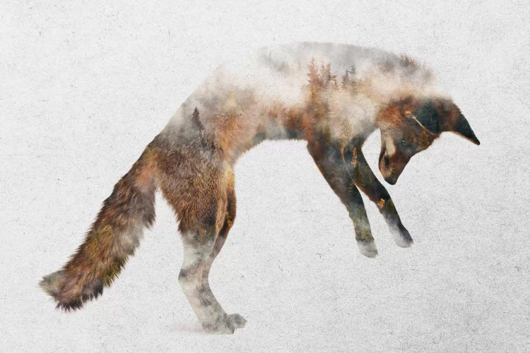 Jumping Fox by Andreas Lie wall art