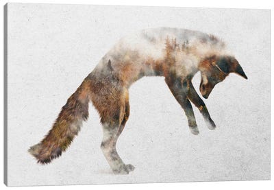 Jumping Fox Canvas Art Print - Andreas Lie
