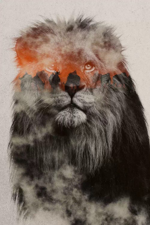 Lion by Andreas Lie wall art