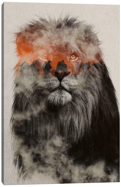 Lion Canvas Art Print - Andreas Lie