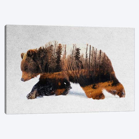 Travelling Bear Canvas Print #ALE197} by Andreas Lie Canvas Artwork