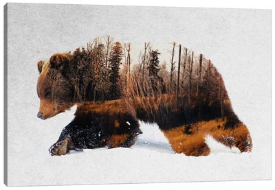 Travelling Bear Canvas Art Print - Double Exposure Photography