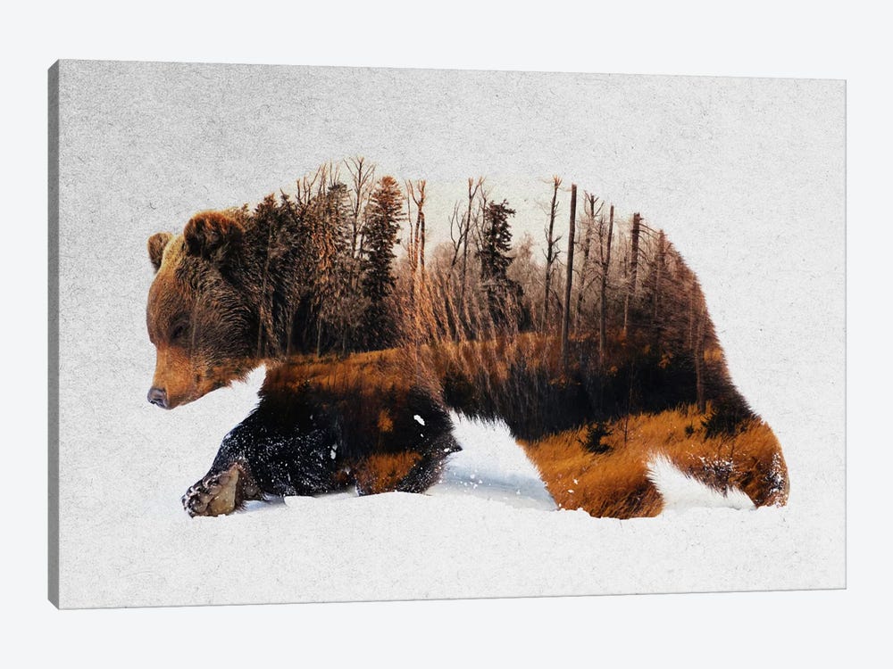 Travelling Bear 1-piece Canvas Print