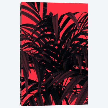 Tropic Leaf Canvas Print #ALE198} by Andreas Lie Canvas Art Print
