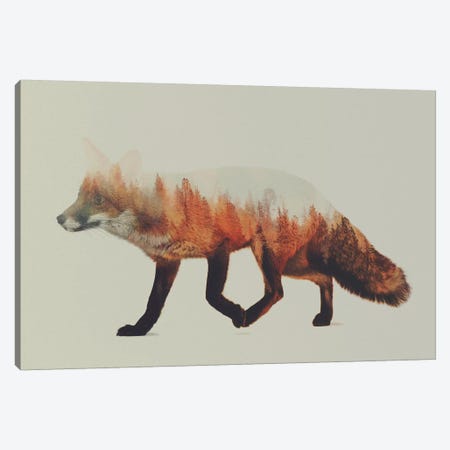Fox I Canvas Print #ALE1} by Andreas Lie Art Print