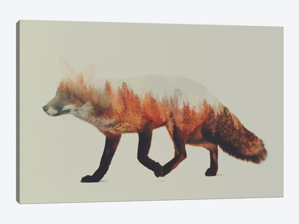 Fox I by Andreas Lie 1-piece Canvas Print